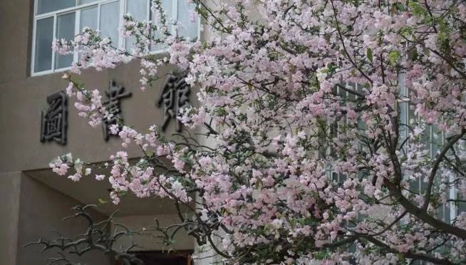 南京师范大学校园环境怎么样？“东方最美校园”：诚邀诸位共赏南师之美！