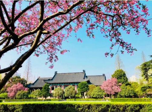 南京师范大学校园环境怎么样？“东方最美校园”：诚邀诸位共赏南师之美！